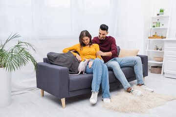 Smiling interracial couple looking at sphynx cat on couch at home.