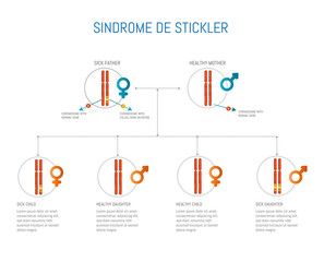Stickler  syndrome, chromosome with mutation of the COL2A1 gene.