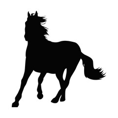 elegant horse silhouette