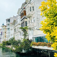 house in the city