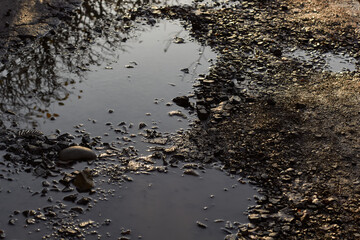 Puddle in the middle of the road. Pits on the road. Gravel dirt road. 