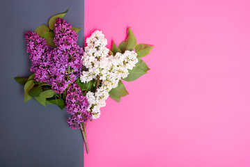 flowers lilac white and purple on a double background of gray and pink. copy space