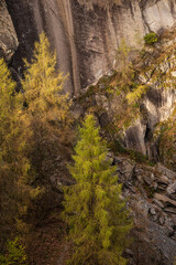 Stunning vibrant Autumn landscape image of forest woodlands around Holme Fell in Lake District