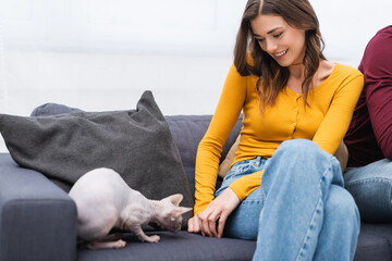 Smiling woman looking at blurred sphynx cat on couch at home.