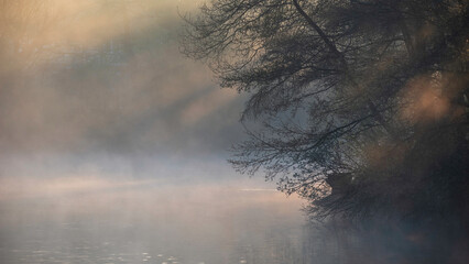 Beautiful landscape image of sunrise mist on urban lake with sun beams streaming through tress lighting up water surface