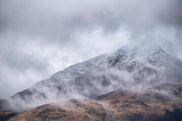 Moody dramatic misty Winter landscape drifting through trees on slopes of Ben Lomond in Scotland