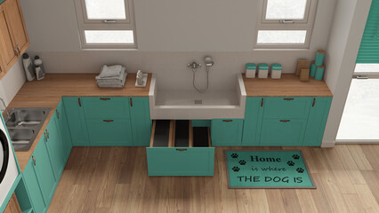 Pet friendly mudroom, laundry room in turquoise tones with cabinets and dog bath shower with tiles and faucet, wooden ladder inside a drawer. Top view, above. Cozy interior design