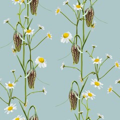 Meadow wildflower seamless  pattern. Botanical camomile, fritillary (Fritillaria) background. Delicate field flower and herb illustration.