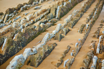 Famous flysch of Zumaia, Basque Country, Spain