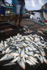 salvador, bahia, brazil - april 30, 2021: sardine fish for sale at the Sao Joaquim fair in the city...