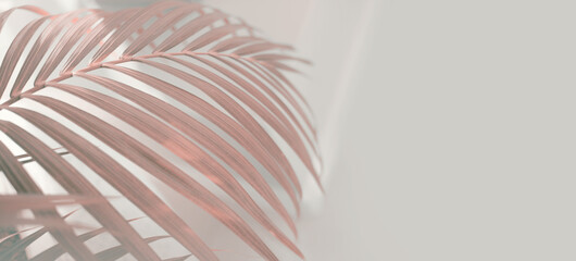 Soft focus blur smoke Nature horizontal background. Palm leaf. Beige pink color.