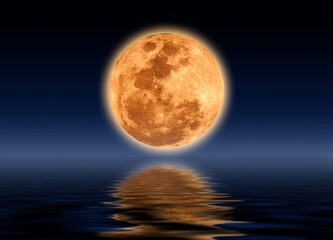 Naklejka na ściany i meble full moon reflecting water in the night