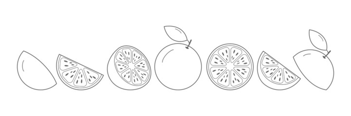 Line orange set. Sketch sliced grapefruit collection. Hand-drawn slices, whole and half linear fruits. Vector isolated on white.