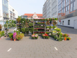 Blumenmarkt in Mülheim an der Ruhr