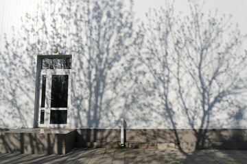 Fototapeta na wymiar Shadow of trees on the white wall