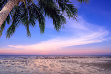 Fototapeta na wymiar Tropical beach with coconut tree on during ebb time. Low tide beach sunset view with palm tree.