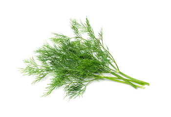 Dill Sprigs Isolated