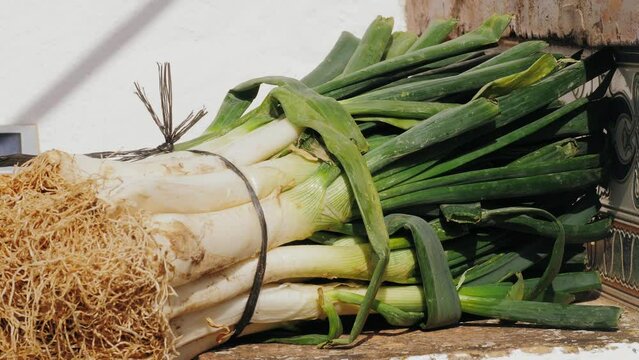 Traditional Spanish catalan onion calcots, spring green barbecue.