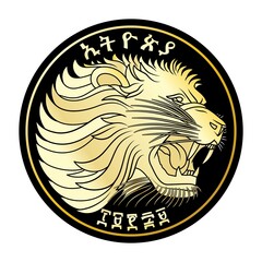 Ethiopian coin 1 birr lion head vector illustration