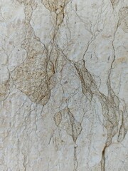 Stone texture photo