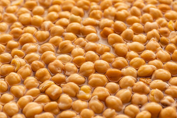 Chickpeas seeds pattern. Close up view