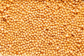 Chickpeas seeds pattern. Overhead view. 