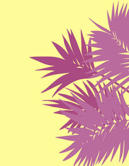 vector illustration of palm leaves in pink color