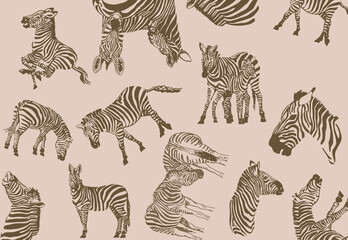  vintage pattern zebra , stylish cover for for fabric, postcards, wallpapers,graphical vector illustration with sepia background © Vita