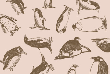  pattern penguins, stylish vintage cover for for fabric, postcards, wallpapers,graphical vector illustration with sepia background