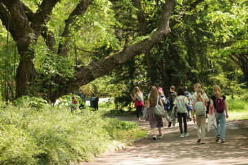 May - rapid development of plants. Krakow (Poland).