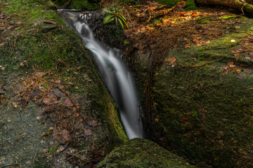Cerveny creek with Cerveny waterfall in Jizerske mountains in spring morning