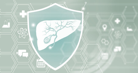 Graphic illustration of Gall Bladder organ protected by a shield. Healthcare concept background with medical icons.