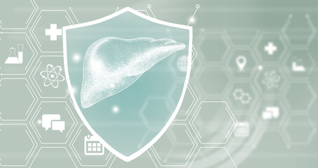 Graphic illustration of Liver organ protected by a shield. Healthcare concept background with medical icons.