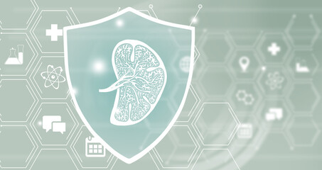 Graphic illustration of Spleen organ protected by a shield. Healthcare concept background with medical icons.