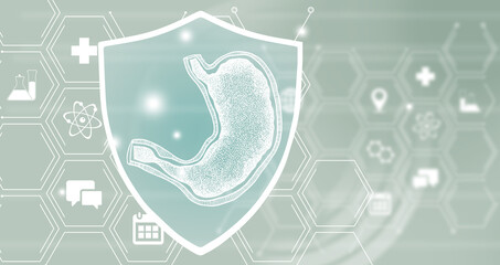 Graphic illustration of Stomach organ protected by a shield. Healthcare concept background with medical icons.