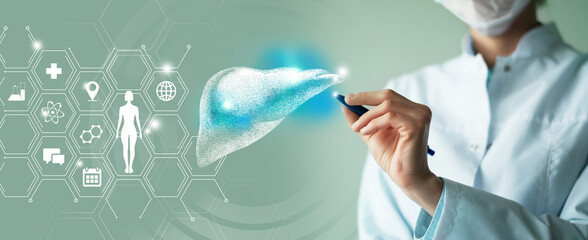 Unrecognizable female doctor holding graphic virtual visualization model of Liver organ in hands....