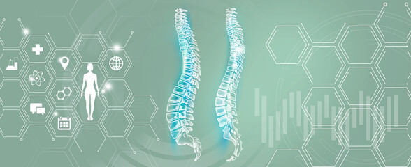 Graphic illustration of Spine Vertebra organ visualization. Healthcare concept background with medical icons.