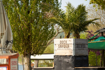 Beer garden by the lake. Small palm tree as flower decoration in a box. Emergency call column in...
