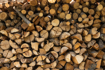 小屋に積まれた薪
