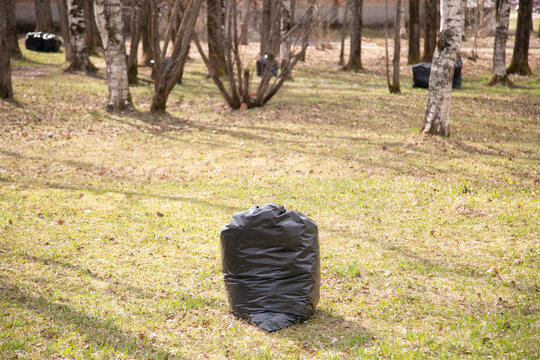 Garbage collection in the spring in the park.Bags of garbage on the street.