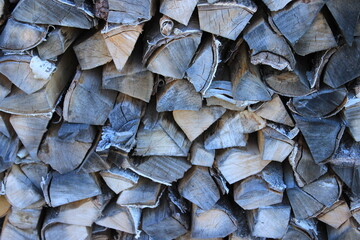 Old birch firewood.