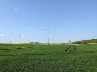 Windpark auf mehreren Feldern in ländlicher Umgebung mit blauem Himmel