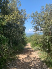 Chemin d'Ardèche