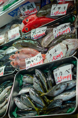 fresh fish at the market