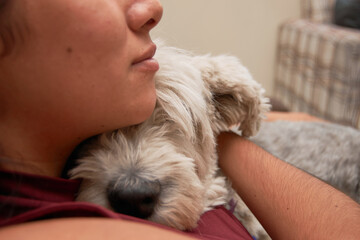 Portrait of Young latina woman hugging her bobtail dog on sofa.
