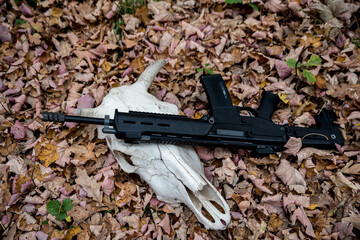 Black assault rifle on a fallen leaf with a cow's skull.  Photographed in Ukraine.