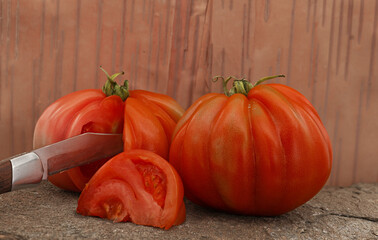 Genovese Tomaten alte Sorte.