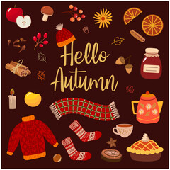 set of various autumn items isolated on transparent background. mushrooms, berries, knitted scarf. sweater, cocoa in a cup, pie. vector illustration 