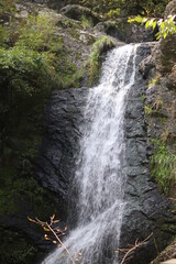waterfall in the mountains