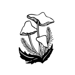 Toadstools. Mushrooms in the forest with vegetation.